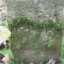 Gemarkungswanderung 2010 -  022